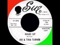 Ike & Tina Turner   Wake Up - Michel Jean Yves Ike & Tina Turner   Wake Up