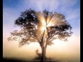 Breslov - Anachnu Ma'aminim (remix) 