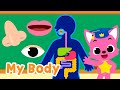 Body Parts Songs For Kids Five Senses Brain And More 15 Minute Learning With Baby Shark