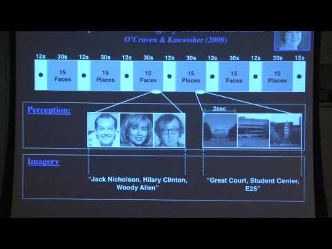 Nancy Kanwisher: What Can Brain Imaging Tell Us About the Developing Child's Brain?