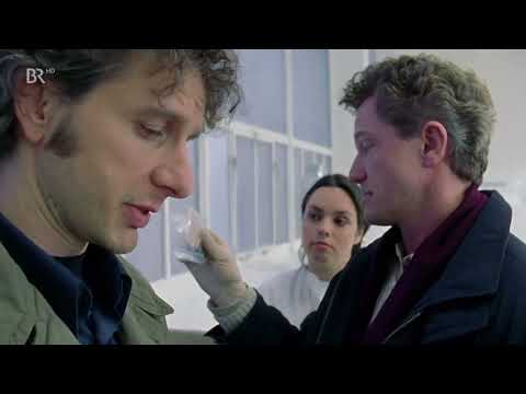 Tatort Gefallene Engel HD