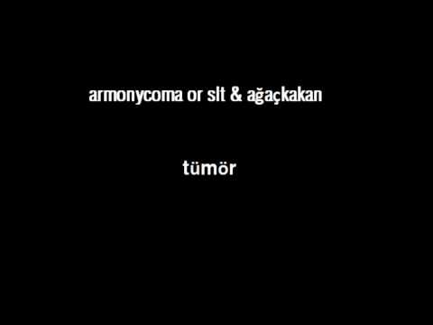 armonycoma or slt & ağaçkakan - tümör
