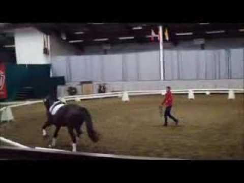 Diataro - Präsentation an der Longe - Januar 2014