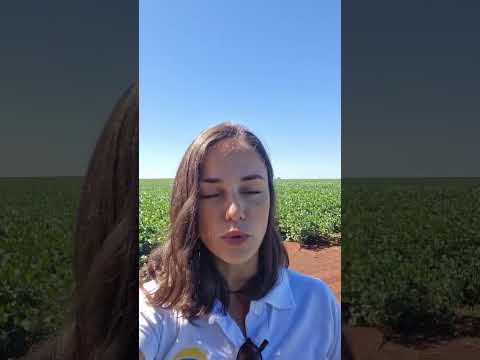 AgResource finaliza etapa no Mato Grosso do Sul