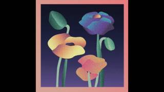 Pokal - Great Expectations