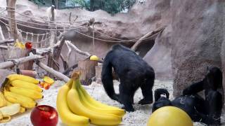 I LIKE TO EAT APPLES AND BANANAS - NURSERY RHYMES-SONG FOR KIDS