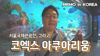 COEX Aquarium and 2025 Seoul International Travel Fair (South Korea Travel : Seoul Coex Aquarium)