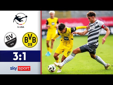 Sandhausen auch stark gegen BVB II | SV Sandhausen - Borussia Dortmund II | Highlights - 3. Liga