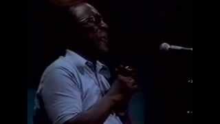 Sonny Terry harmonica blues holler