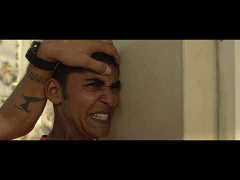 REEFA Exclusive Trailer