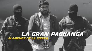 La Pachanga Lyrics English Translation