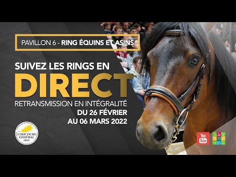 Ring Équins et Asins 28/02/2022
