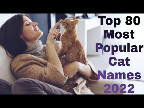 Top 80 Most Popular Cat Names 2022 ||Cat name