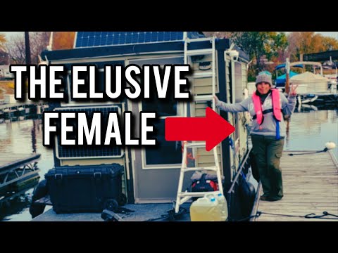 Meet a rare female shanty boater | The Nosy Beagle Interviews 