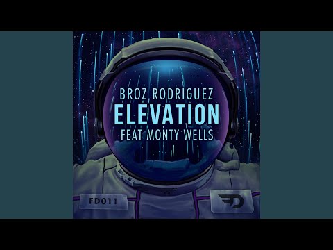 Elevation (feat. Monty Wells)