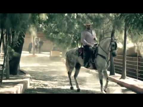 Rogelio Martinez - Loco Y Destructivo (Video Oficial)