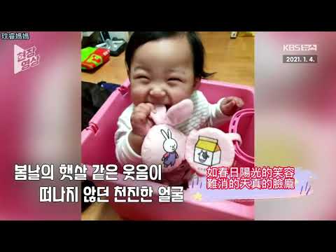 玟睿翻韓 爲了短暫人生苦澀寂寞的鄭仁 鄭仁樹墓園牧師的故事 鄭仁案最新消息 鄭仁追思哀悼