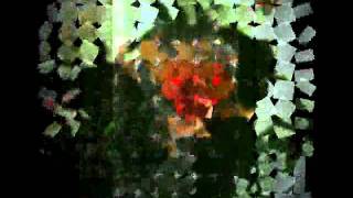 Bésame Fuerte - Baby Boy