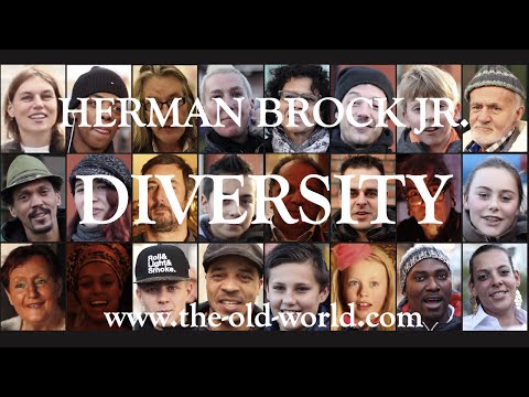 Diversity - Herman Brock Jr - The Old World (OFFICIAL MUSIC VIDEO)