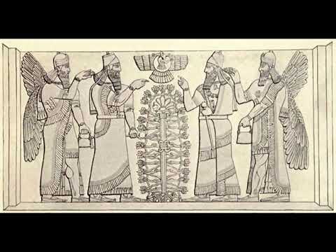 Metadivine in the Bible - 2. Magical Trees (The Tree of Life)