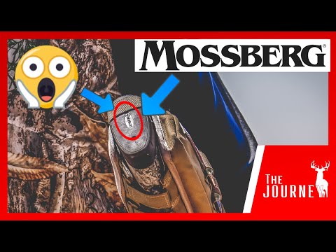 Mossberg Patriot 6.5 Creedmoor review