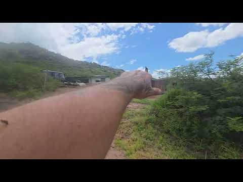 Vendo 5 lotes en cerro colorado Córdoba de más de 1.000 m2 por 25 usd el m2