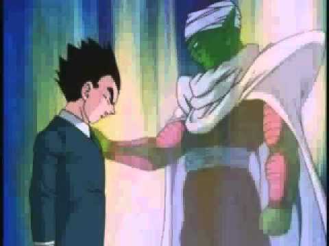 mafecita990126’s Video 15815129117 Wq7VNYabGKU