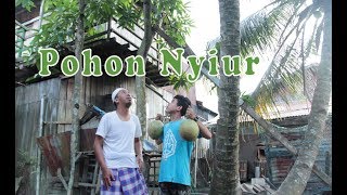 Download lagu POHON NYIUR mp3