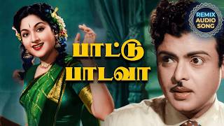 Download lagu Paattu Paadava Remix 🔥 | Thennilavu Movie | Tamil Old Songs Remix | RetroMix Tamil mp3 Download lagu Paattu Paadava Remix 🔥 | Thennilavu Movie | Tamil Old Songs Remix | RetroMix Tamil mp3