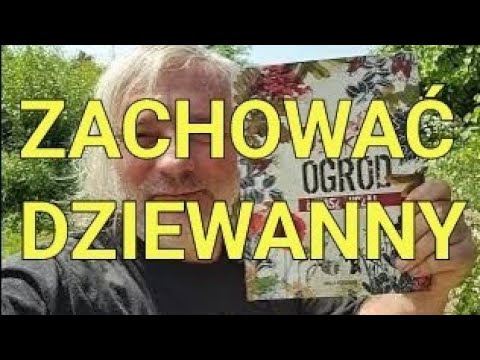 Żmijowce i dziewanny: czas na ochronę roślin dwuletnich