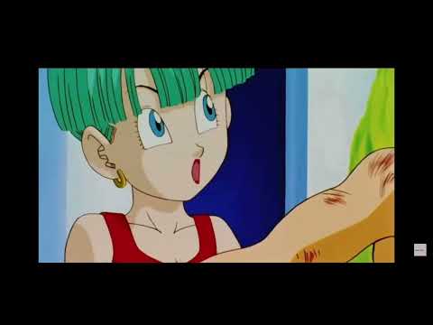 Stop hitting me lol dragon ball z