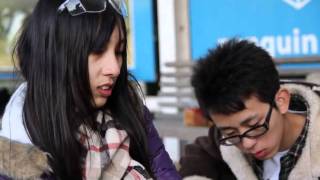 Japanese Penguin Protection Program