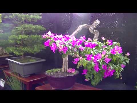 NOELIA DEMASIADO AMOR