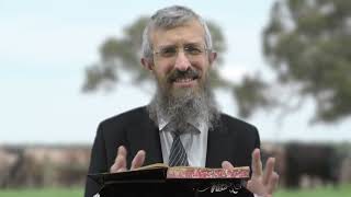 מסכת בבא קמא דף לד  - 8 דקות של לומדות ועמקות בדרך הלימוד הישיבתית [bava kamma 34]