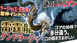 【モンハン アセンダンス解説】モンスターなのかも不明の黒いエイリアン。そして完全新規古龍『グンドラージャ』の外見・特徴・モチーフなどを深堀り解説！【モンハン解説シリーズ】