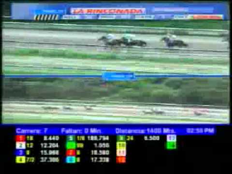 7MA CARRERA DOMINGO 6 MAYO LA RINCONADA AUDIOHIPISMO