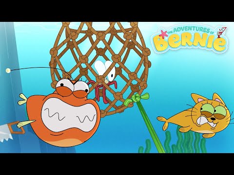 NEW The Adventures of Bernie EP13 😼 BERNIE AND THE CATFISH - Zig & Sharko - Compilation Cartoons