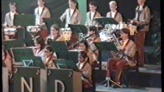 ViJoS Drumband Spant 2000