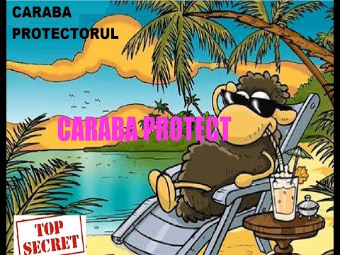 CARABA: Protectorul Tarlei: Concediu pa' Miami