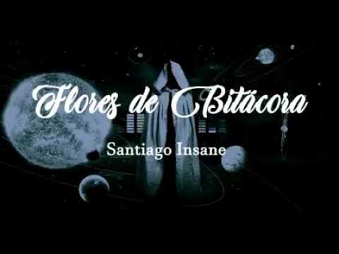 Flores de bitacora- Santiago Insane
