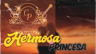 Download lagu CLAVE PRIVADA Oficial - Mi Hermosa Princesa [En VIVO 2023] mp3