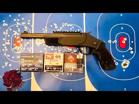 Rossi Brawler, Buckshot vs Birdshot smashing performance out of the .410