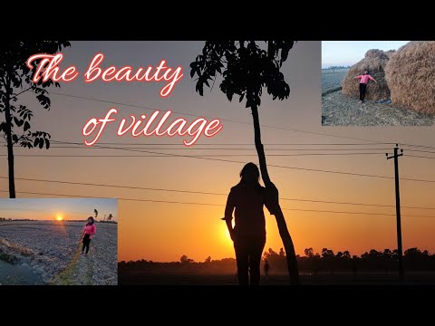 Beauty of village life// Beauty of village nature @kashmikavlogs3410