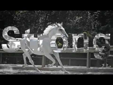 TraXon for Trucks (en)