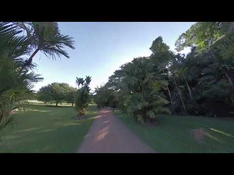 Townsville Palmetum