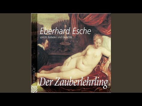 Kapitel 27 - "Der Zauberlehrling"