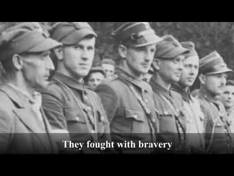 Hardy Tribute to Polish WWII partisans