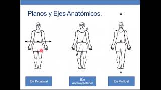 AB CLASE 0   TERMINOLOGÍA ANATÓMICA 2023