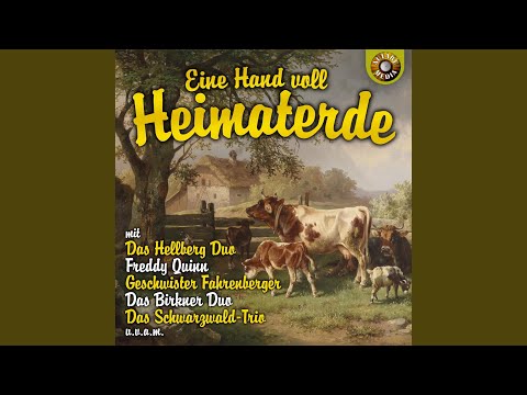 In der Heimat sehen wir uns wieder!