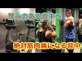 絶対筋肉痛になる背中トレ!!!!!!